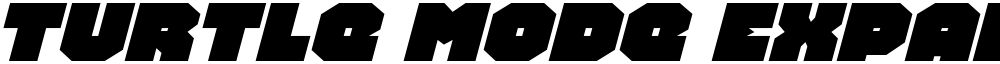 Turtle Mode Expanded Italic