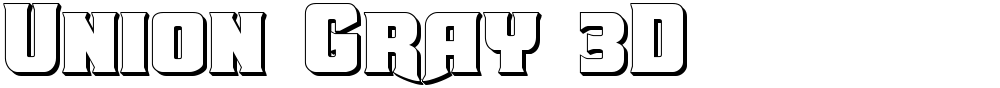 Union Gray 3D