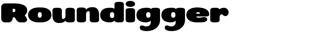 Roundigger
