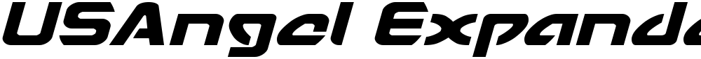 USAngel Expanded Italic