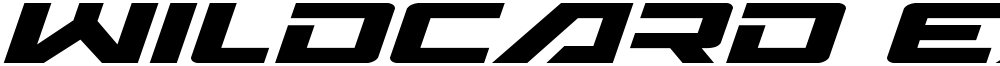 Wildcard Expanded Italic