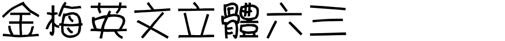 金梅英文立體六三
