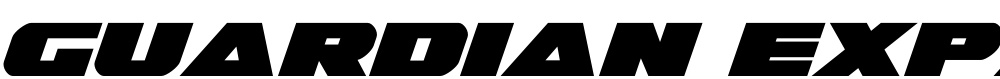 Guardian Expanded Italic