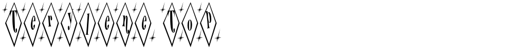 Terylene Top