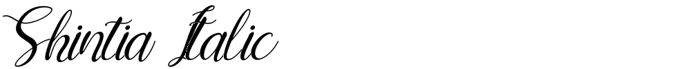 Shintia Italic