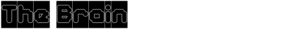 The Brain