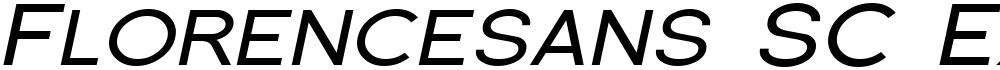 Florencesans SC Exp