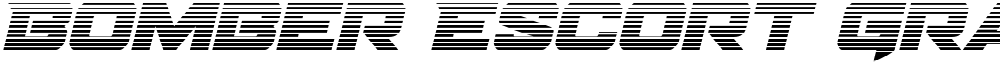 Bomber Escort Gradient Italic