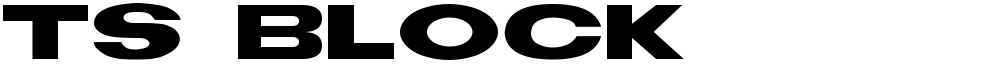 TS Block