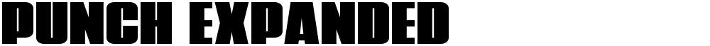 Punch Expanded
