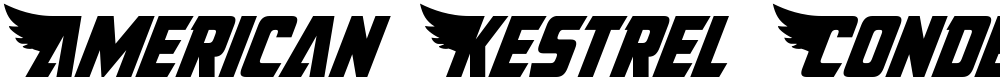 American Kestrel Condensed