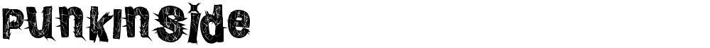 PunkInside