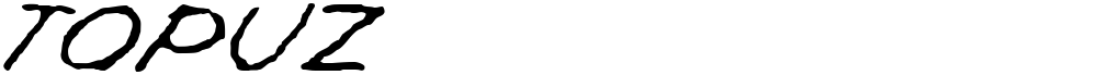 Topuz