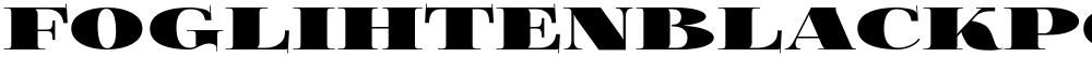FoglihtenBlackPcs