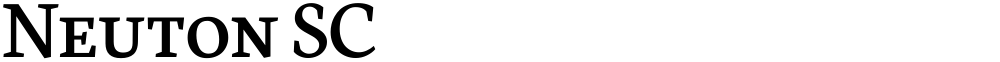 Neuton SC