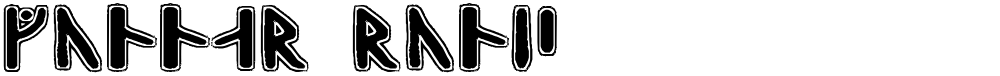 Gunnar Runic