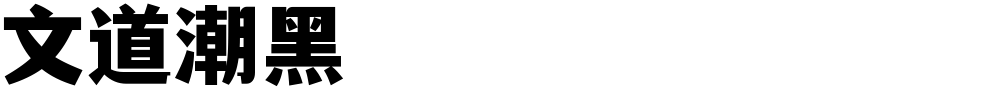 文道潮黑