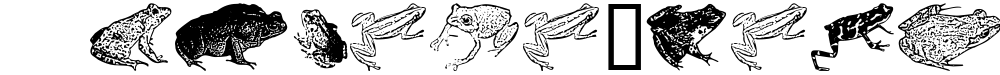 AmphibiPrint