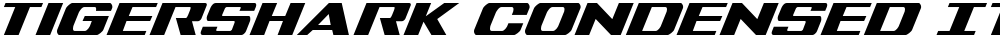 Tigershark Condensed Italic
