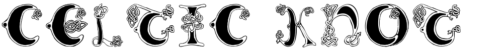Celtic Knot
