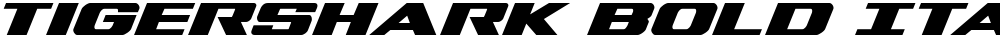 Tigershark Bold Italic