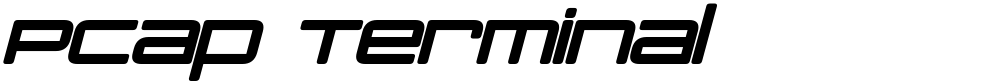 PCap Terminal
