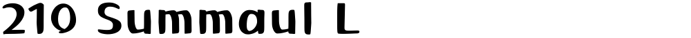 210 Summaul L