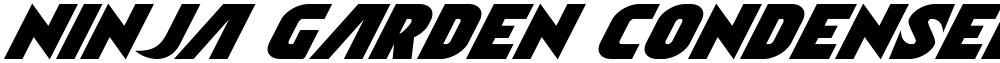 Ninja Garden Condensed Italic