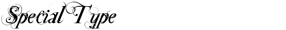 Special Type