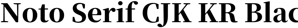 Noto Serif CJK KR Black