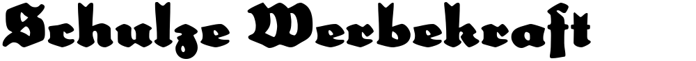 Schulze Werbekraft