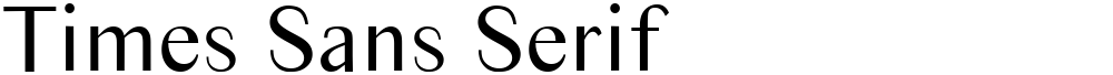 Times Sans Serif