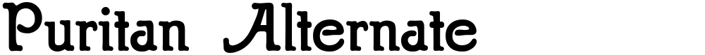 Puritan Alternate