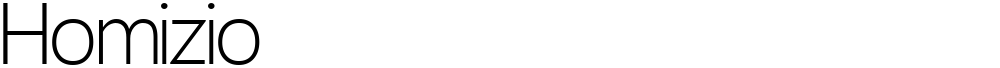 Homizio