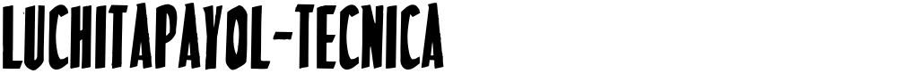 LuchitaPayol-Tecnica