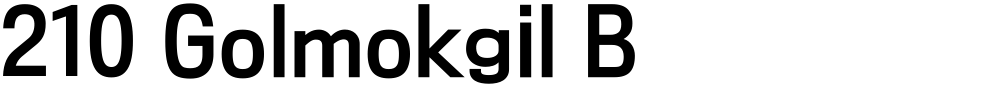 210 Golmokgil B