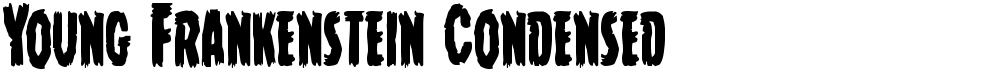 Young Frankenstein Condensed