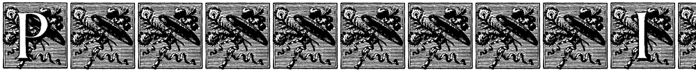 PompadourInitials