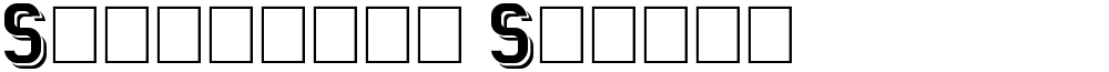 Statement Shadow