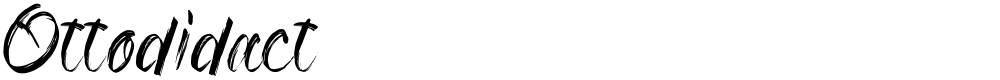 Ottodidact