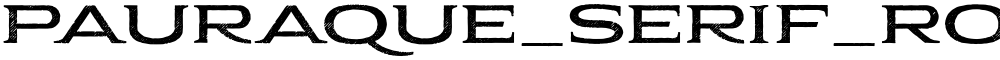 Pauraque_Serif_Rough