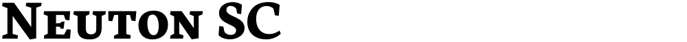 Neuton SC