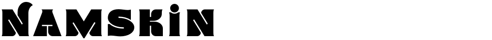 Namskin