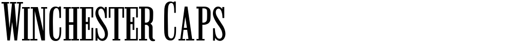 Winchester Caps
