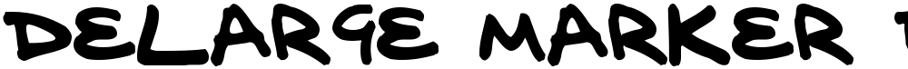 delarge marker pen