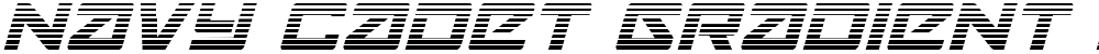 Navy Cadet Gradient Italic