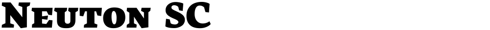 Neuton SC