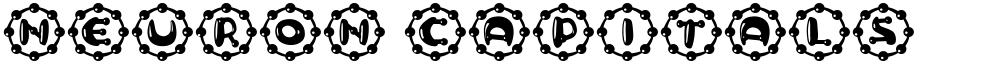 Neuron Capitals