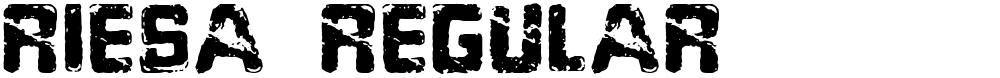 Riesa Regular