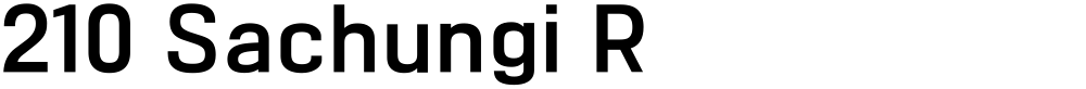 210 Sachungi R